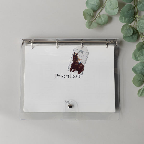 Prioritizer Program