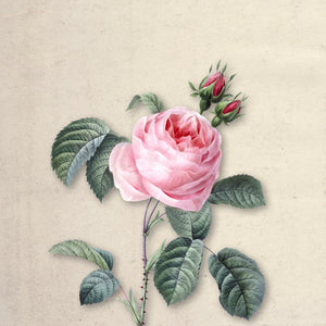 Ruby Bloom