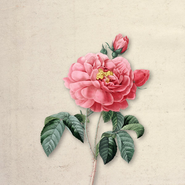 Ruby Bloom