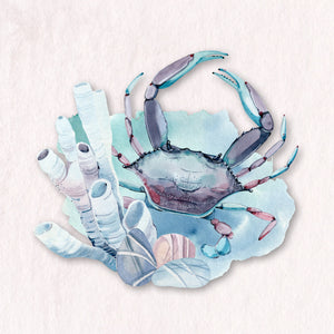 Seashells