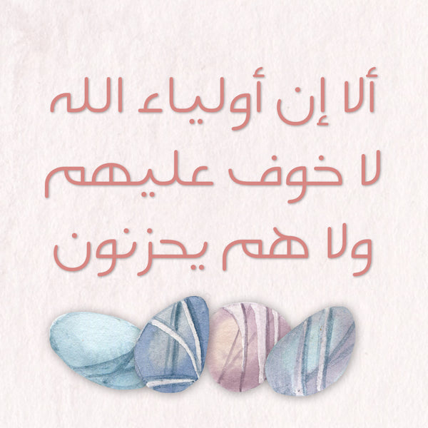 Seashells