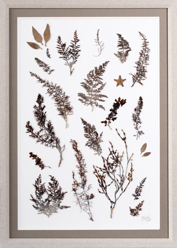 Ocean Bouquets